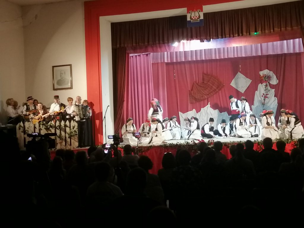 Viteške Napretkove sekcije na večeri folklora u Somboru,  oduševile domaćine
